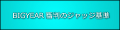 BIGYEARの審判ジャッジ基準