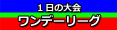 1日の大会・ワンデーリーグ